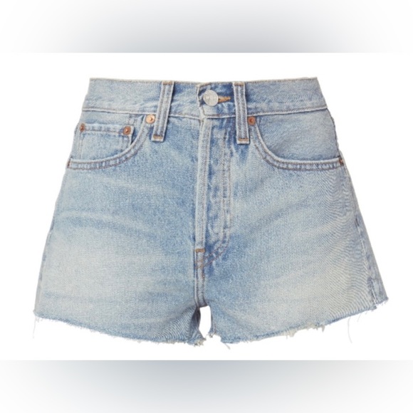 RE/DONE Original The Short Button Fly Cut Off Denim Shorts in Dirty Destroy